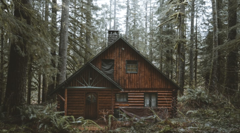 Cabin Love Stories: Retreats That Set the Mood