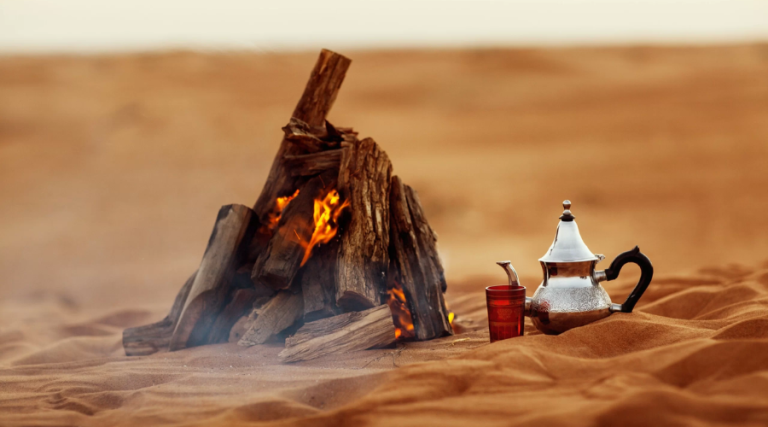Desert Stories & Traditions: Cultural Camp Experiences to Try